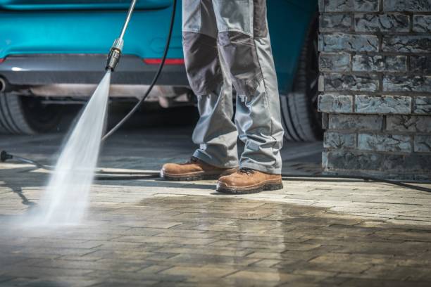 Animal Enclosure Cleaning in Mchenry, IL