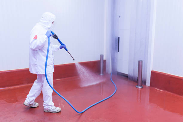 Best Soft Washing  in Mchenry, IL